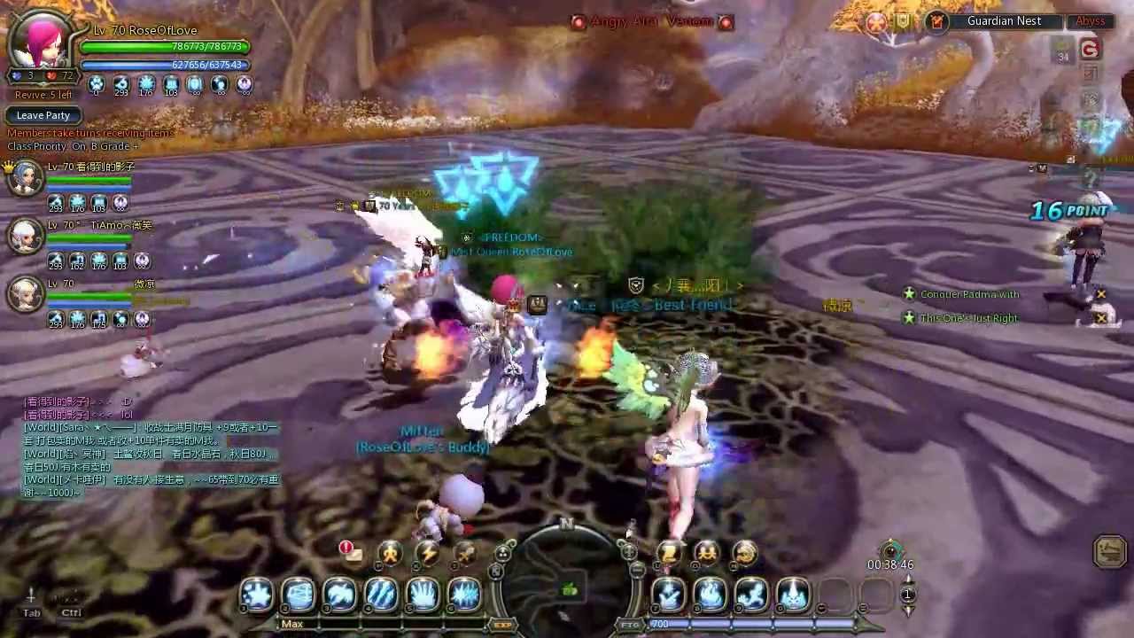 Dragon Nest - PVE T5 - lvl 70 Elestra / Ice Witch in Guardian Nest (speed run)