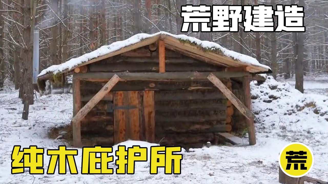 男人竟然在无人森林造出别墅，可以养老的庇护所，建造过程太解压了！