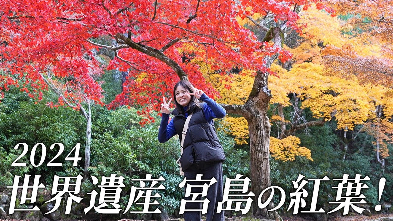 【宮島の紅葉】世界遺産 宮島の紅葉スポットをご紹介します！