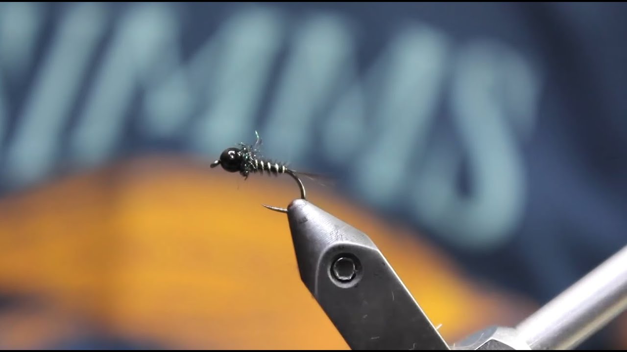 La Negrina por Francisco Muela y Theflycenter
