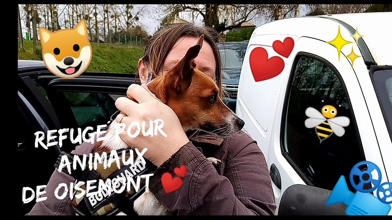 Des cadeaux pour les animaux du refuge de Oisemont !