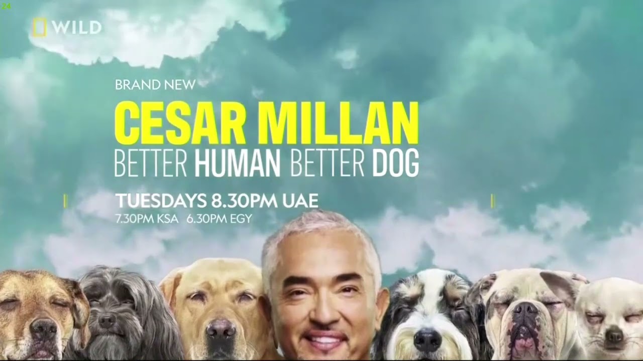 Nat Geo Wild MENA Continuity (05 June 2022)