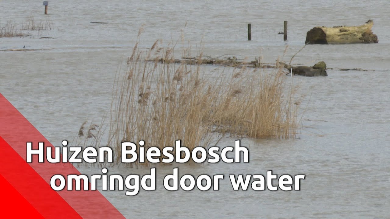 De Biesbosch-bewoners woonden plotseling 'aan zee' door storm en hoogwater