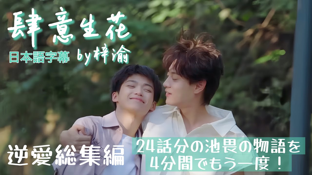 【肆意生花/梓渝】逆愛切り抜きMV 歌詞日本語字幕あり 池騁と吴所畏の❤️の物語をぎゅっと4分間に詰め込みました