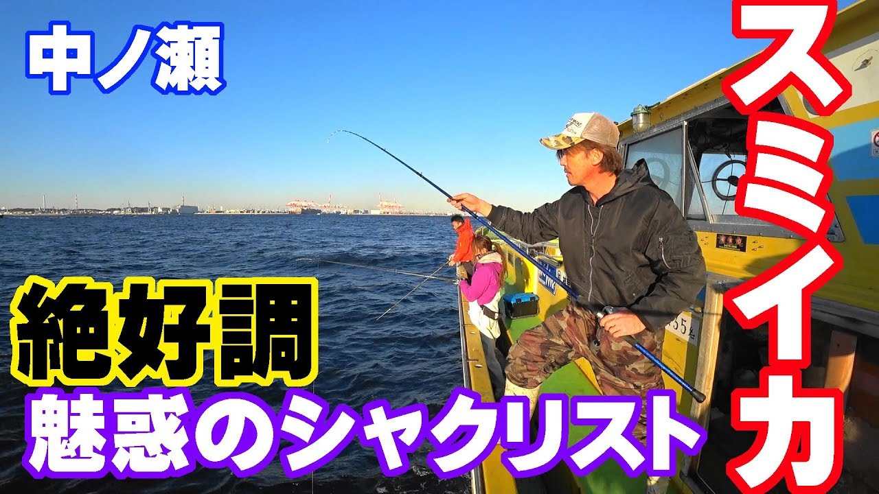 【濱生丸】スミイカ釣り　中ノ瀬