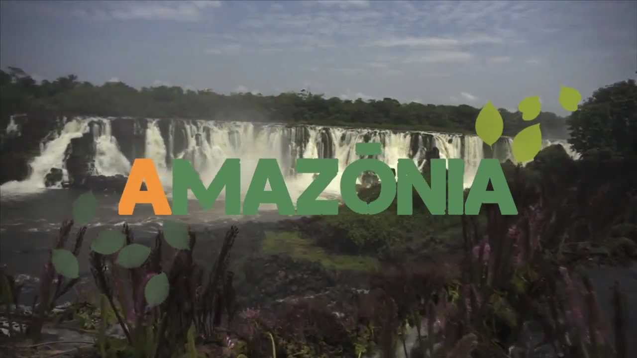 Bioma Amazônia - #Incrível