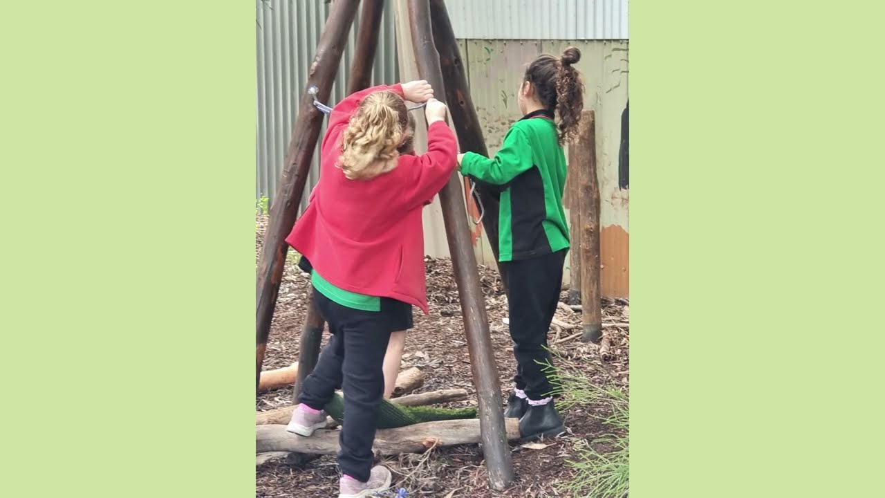 International Day of Play at Redwood Park School