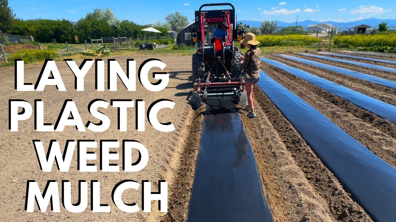 Setting Up & Using Plastic Mulch For Veggie Field Weed Control / Nolt's RB448 Plastic Bed Maker