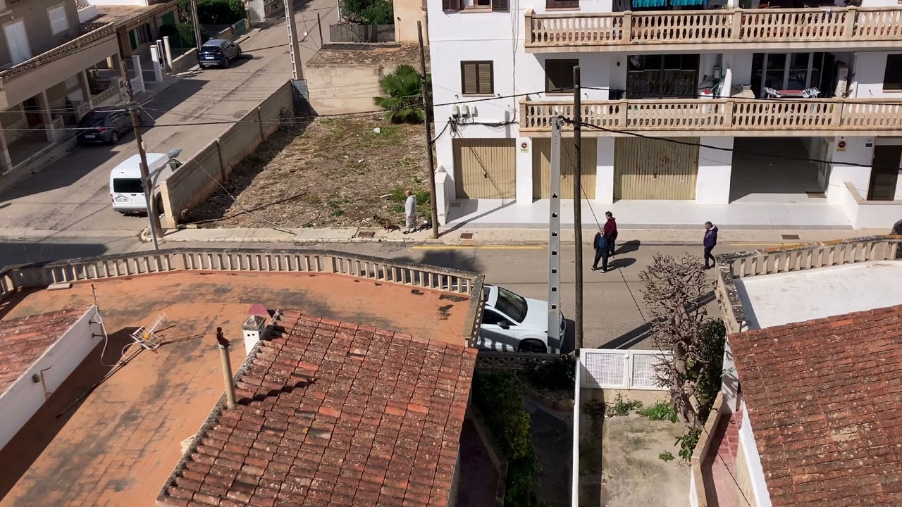 Colonia de Sant Jordi 2026 03 08