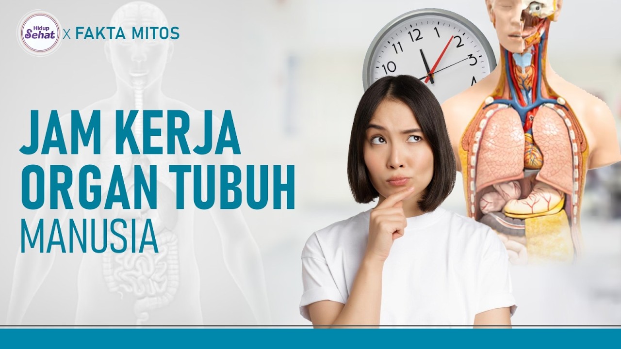 Ingin Bebas Penyakit? Pahami Jam Kerja Organ Tubuh Manusia | Hidup Sehat tvOne
