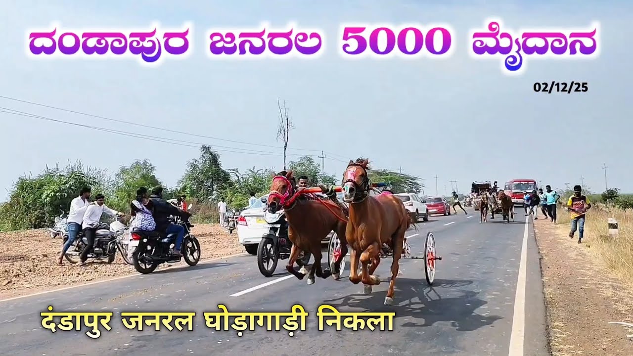 ದಂಡಾಪುರ ಜನರಲ 5000 ಮೈದಾನ दंडापुर जनरल घोड़ागाड़ी निकला💥#horseracing #horse #horsepower #horseriding 