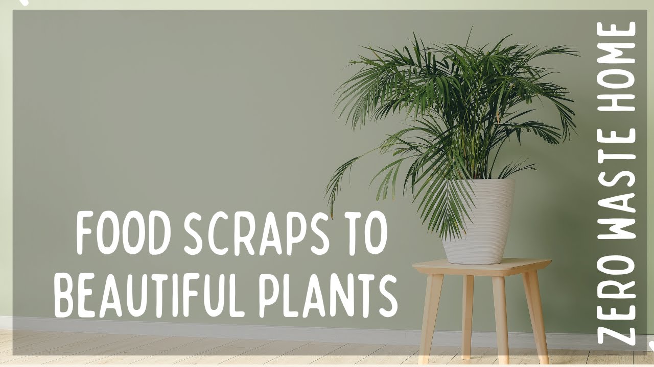 7 Zero Waste House Plant Fertilizers. With nothing but food scraps.