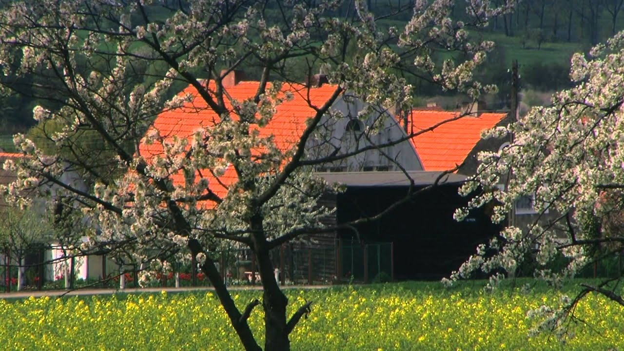 Pełczyce i Okolice