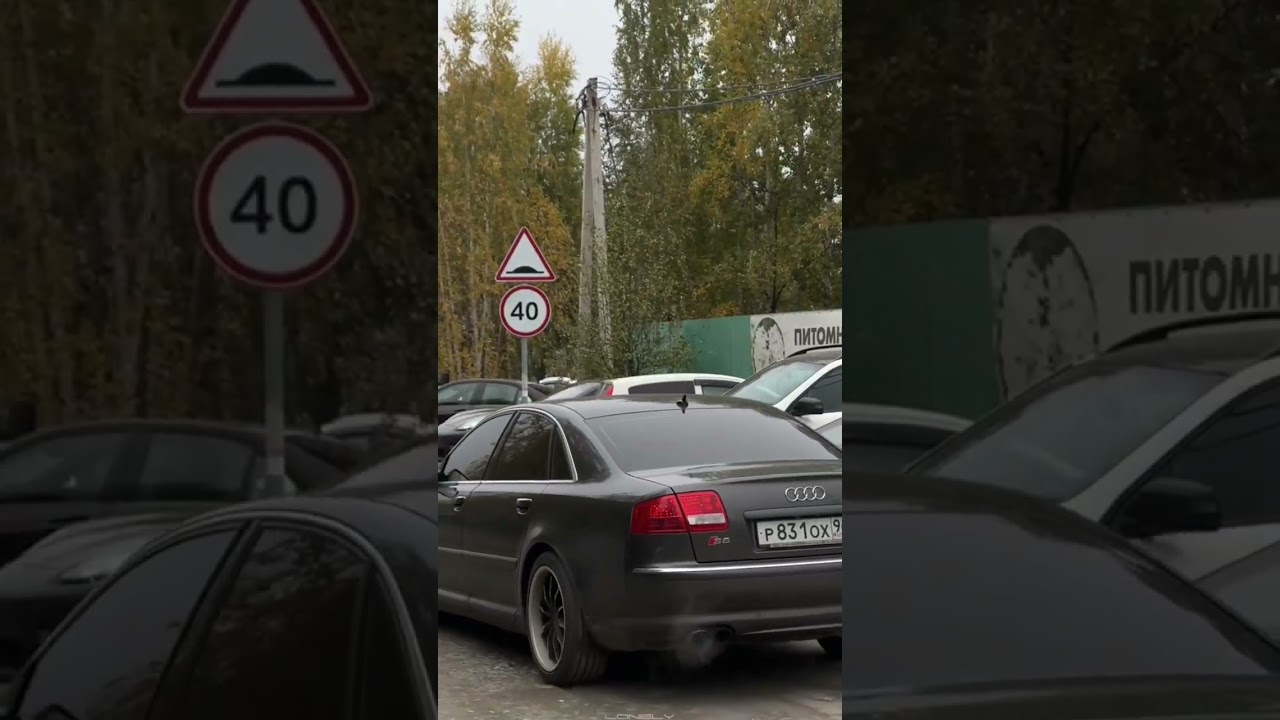 audi V10 