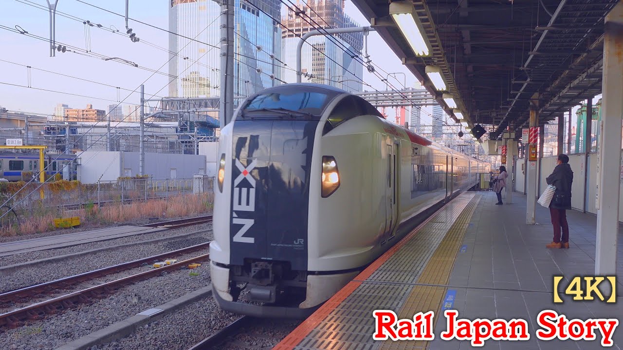 NARITA EXPRESS E259 series at Shinagawa Station, December 2023