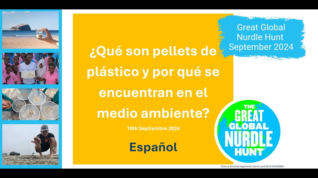 ¿Qué son pellets de plástico y por qué se encuentran en el medio ambiente? -  Español