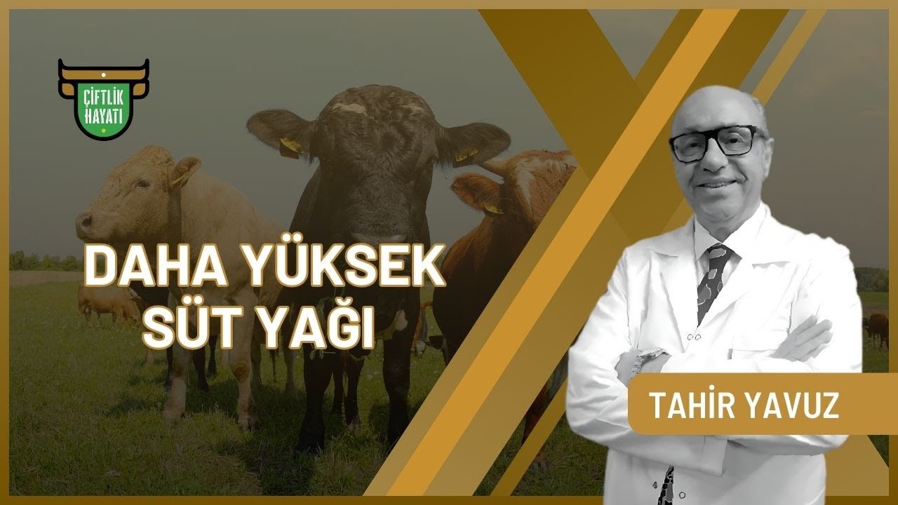 Tahir Yavuz ile Çiftlik Hayatı I Daha Yüksek Süt Yağı