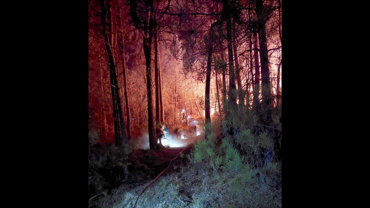 VIDEO: Desalojada una urbanización en Pedro Bernardo