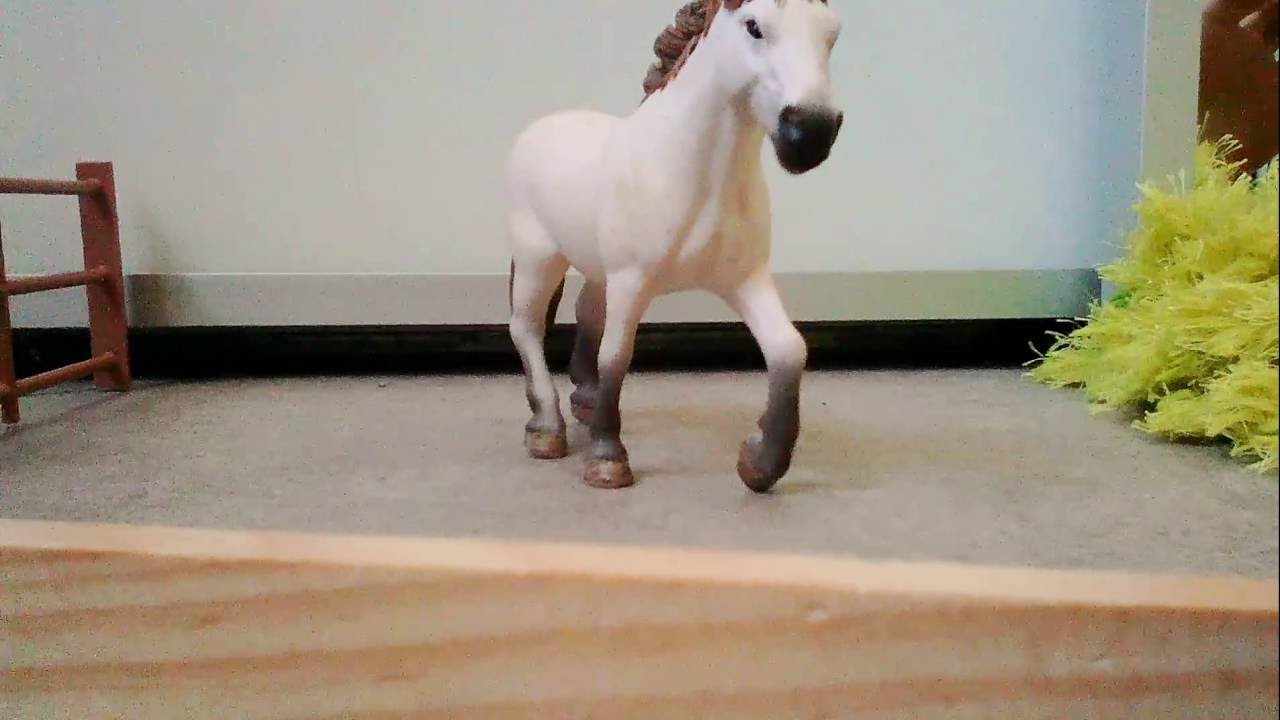 Histoire de cheval abandonné par son troupeau triste