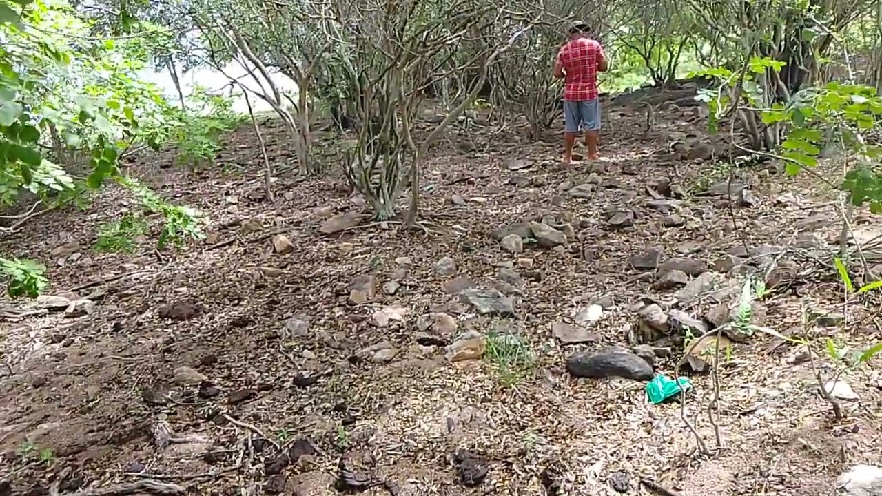 Eu lembrava que ainda tinha o poço lá