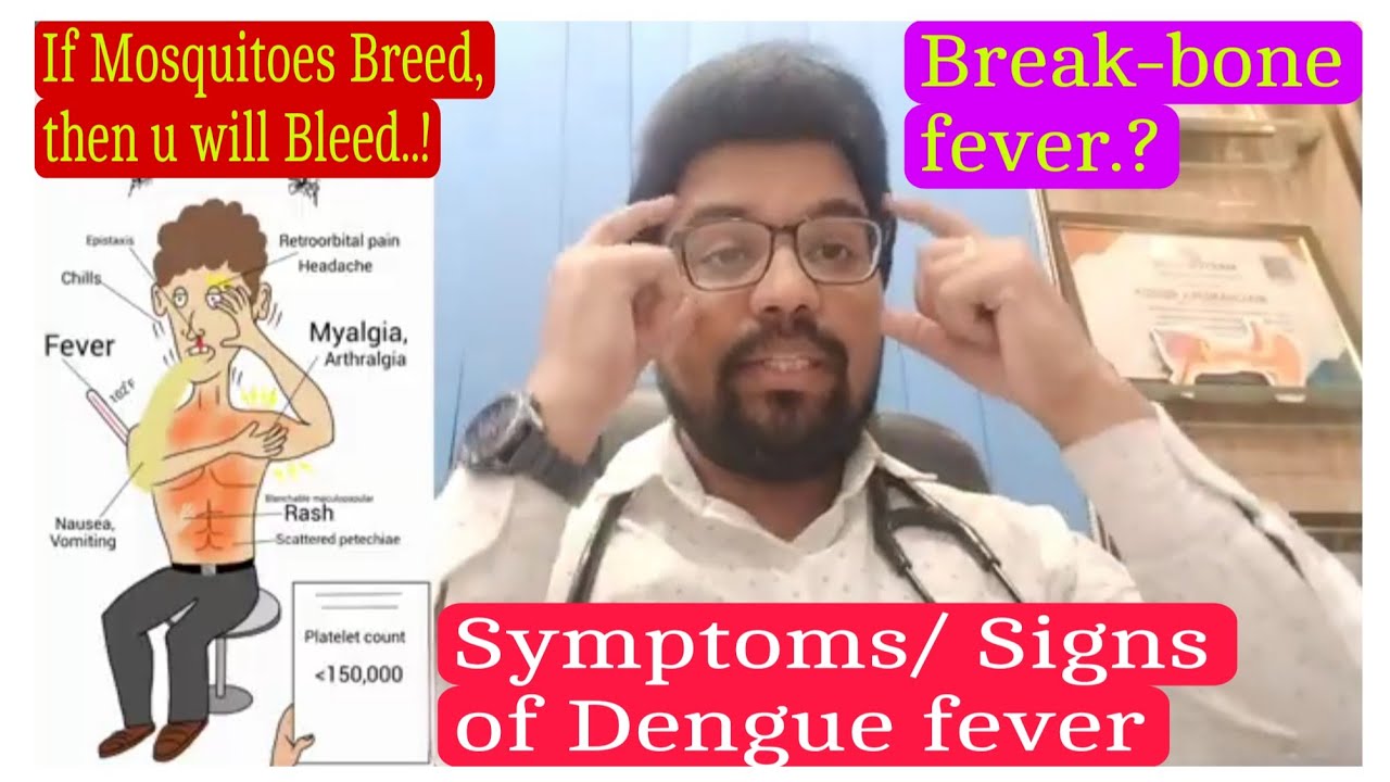 Dengue Fever: What You NEED To Know | symptoms & Signs of Dengue | Treatment, Prevention of Dengue 