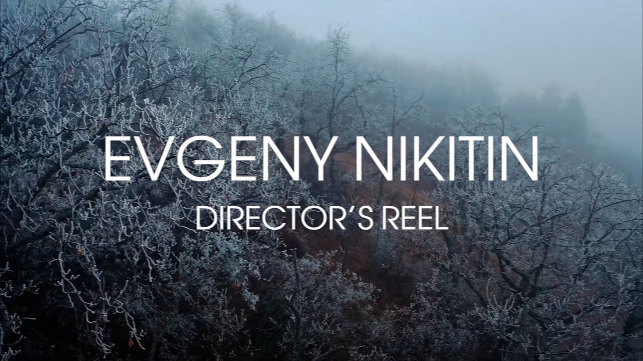 Showreel 2022 - Evgeny Nikitin