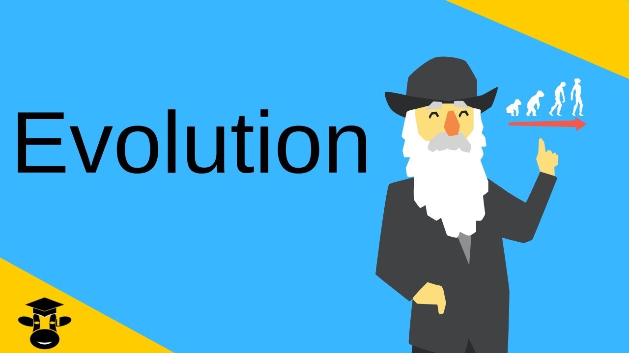 Evolution-The three major components explained