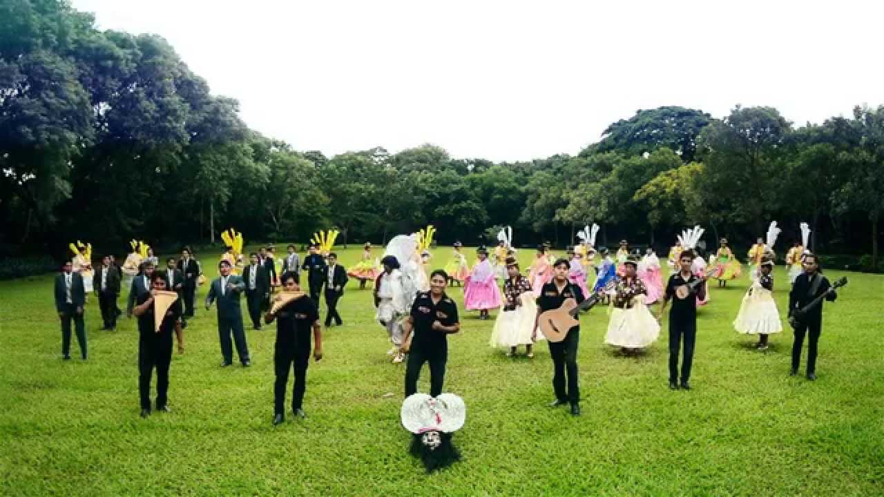 AJARA DEL ANDE - AMORCITO DE LA SEÑORIAL ILLIMANI