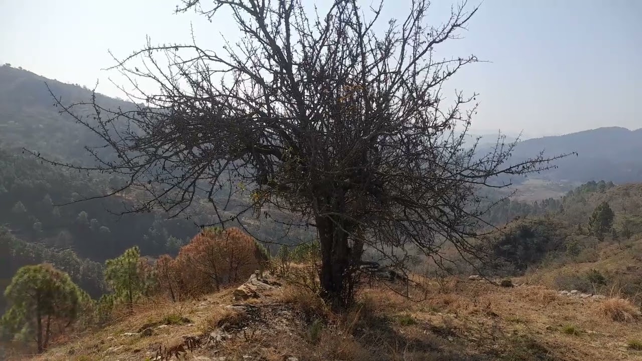 Bhanti ke bugyal