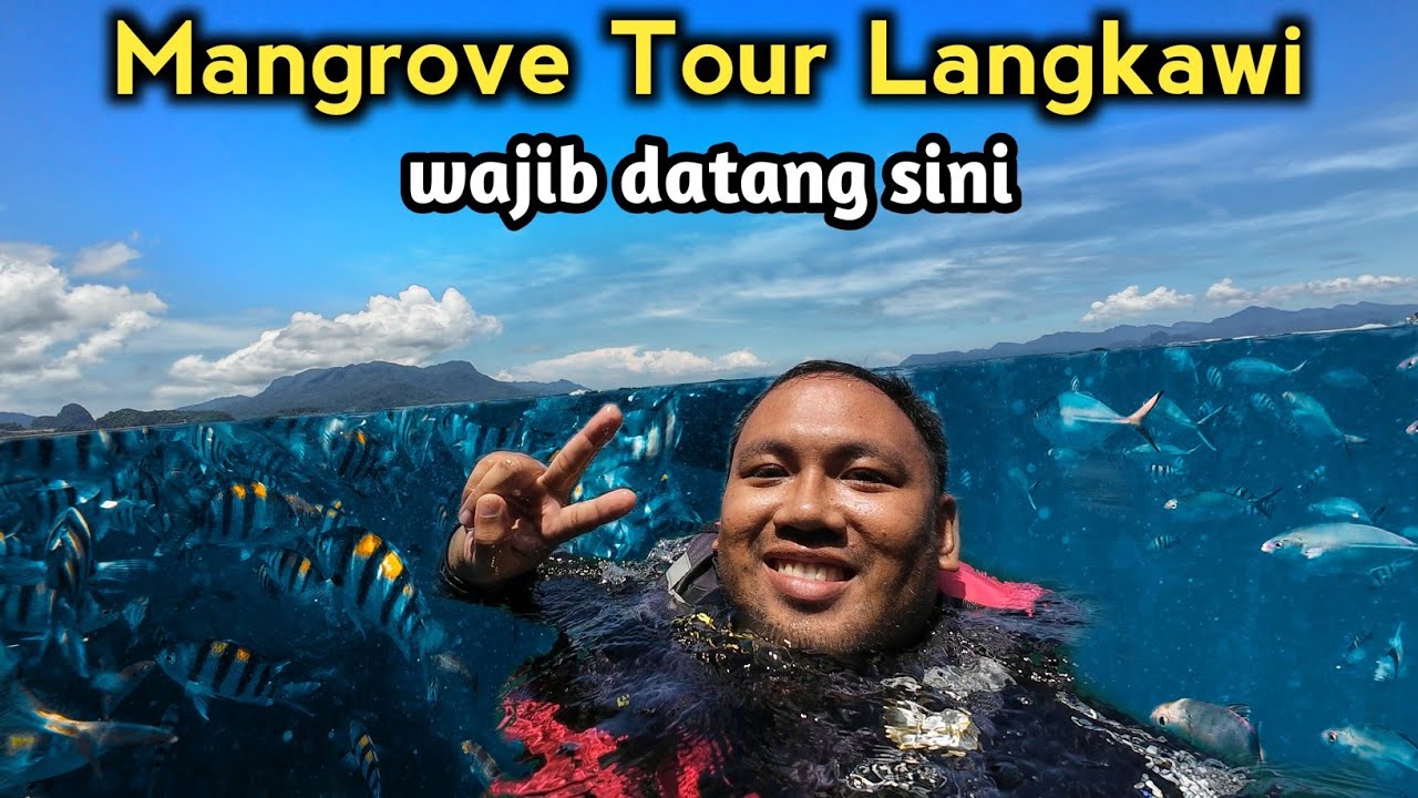 mangrove tour langkawi 2025 | tempat menarik di Langkawi