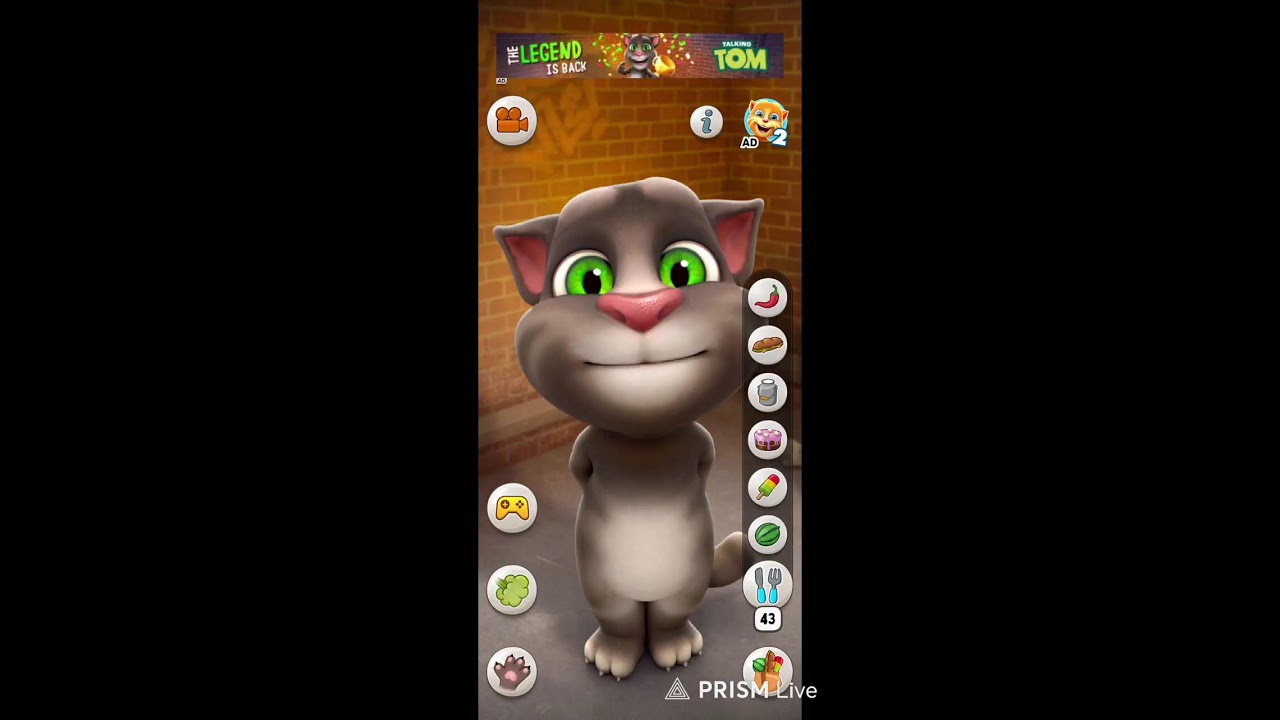 my talking Tom game