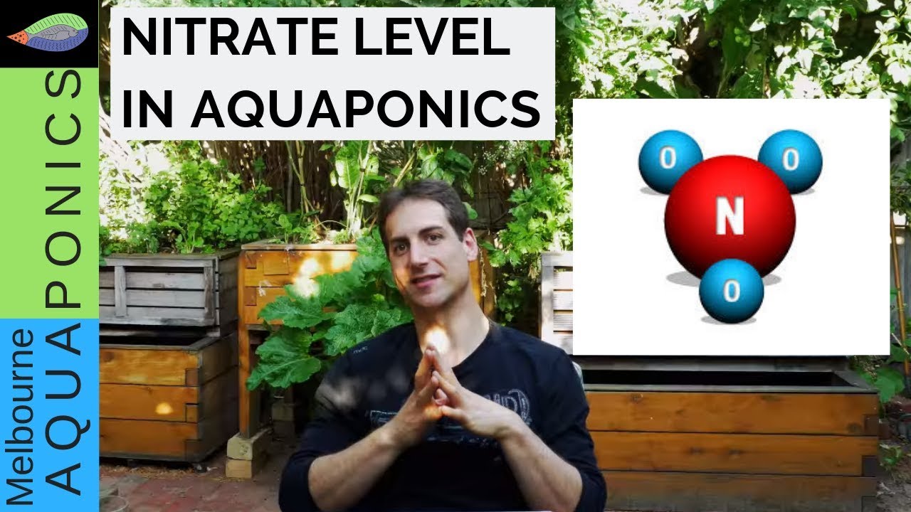 What is a good nitrate level in aquaponics