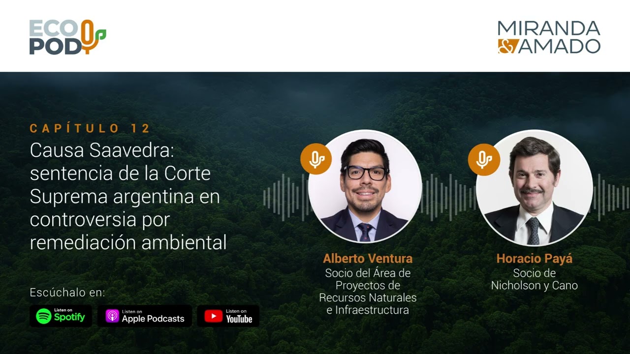 Causa Saavedra: sentencia de la Corte Suprema argentina en controversia por remediación ambiental