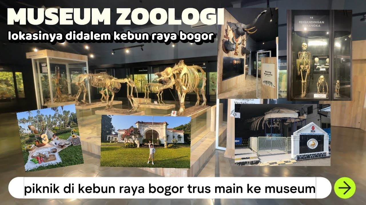 MUSEUM ZOOLOGI - REVIEW MUSEUM DALAM KEBUN RAYA BOGOR SAMBIL PIKNIK