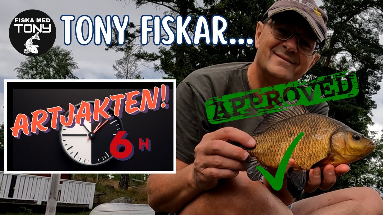 Hur många fiskarter på 6 timmar?