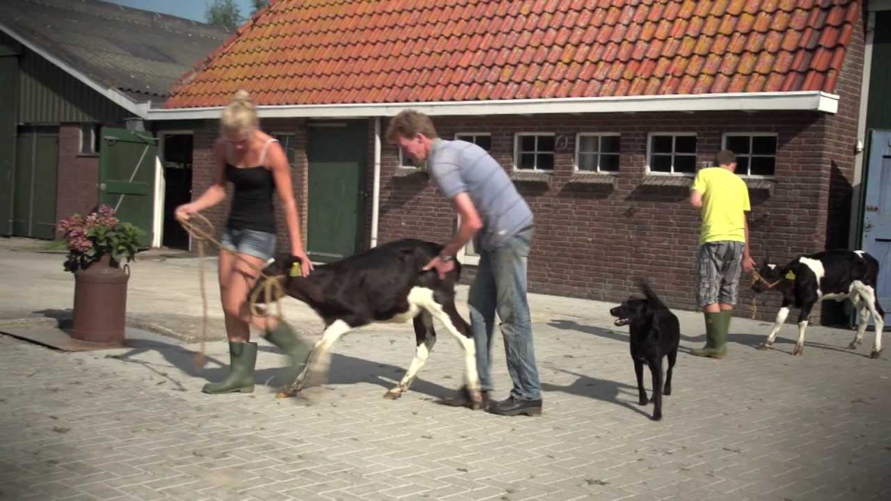 Zorgboerderijen van het Kampereiland
