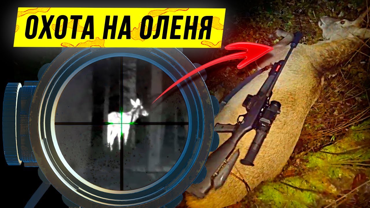 Охота на оленя! Как добыть Оленя? Мне помог тепловизор пульсар. Pulsar Trail 2 LRF
