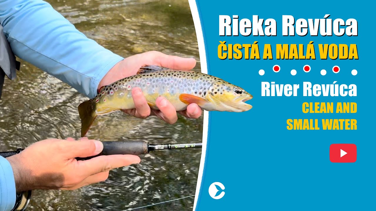Lov rýb na rieke Revúca: Muškárenie v čistej a malej vode