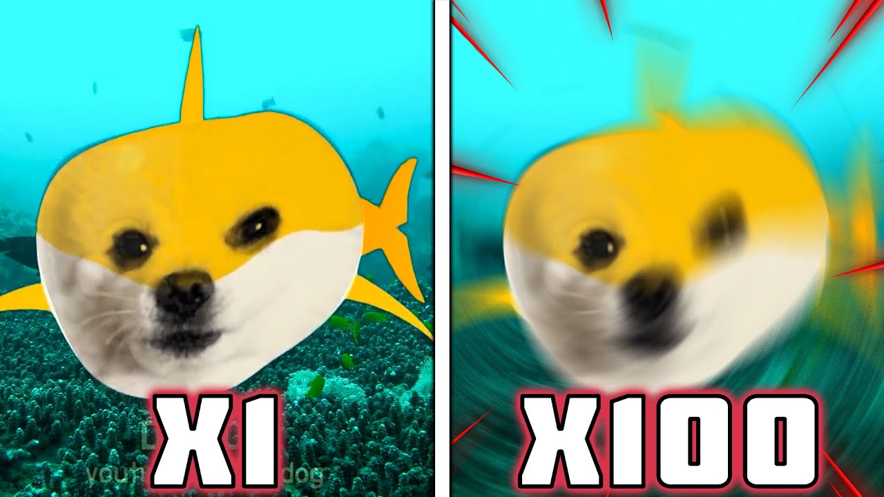 아기상어 상어가족 강아지 리믹스 Baby Shark Shark Family Puppy Remix Speed X1000000 (INFINITY)