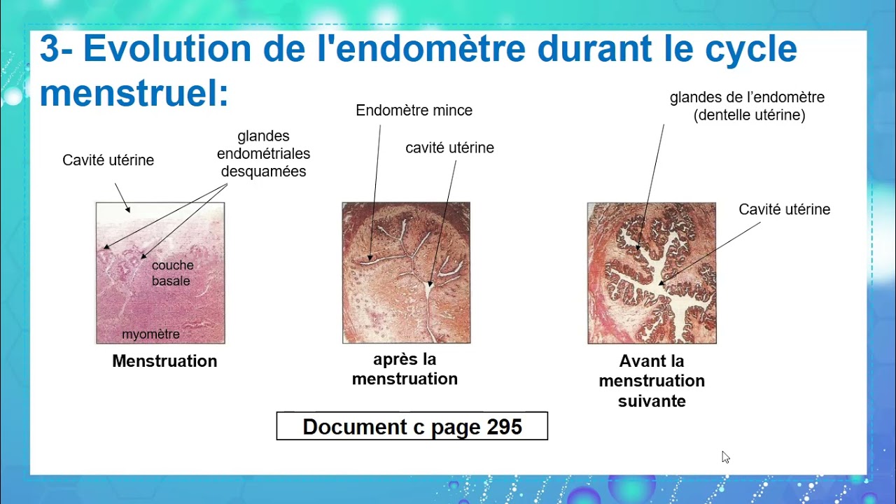 video 1 doc 1 ch 15