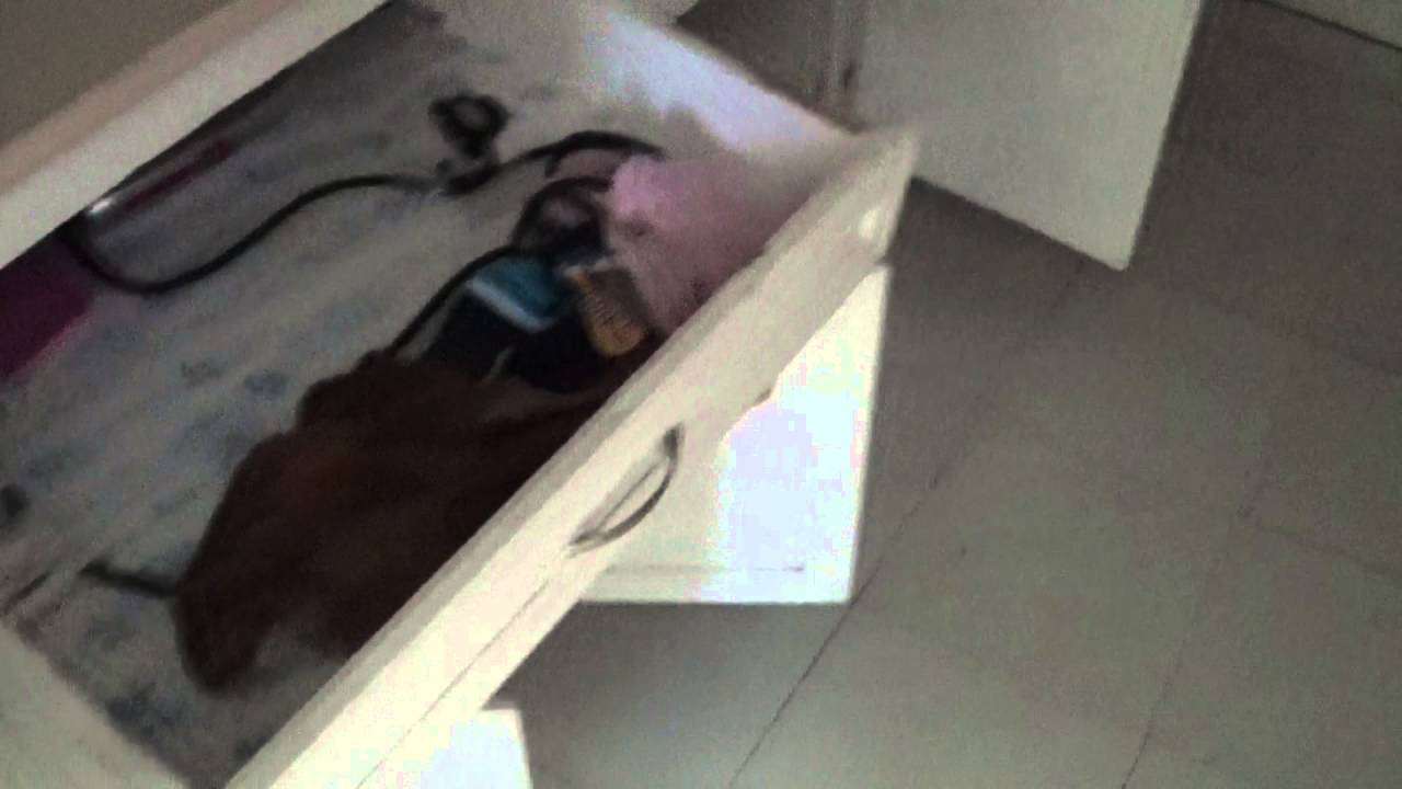7935 SHADY ARBOR TENANT MOVE OUT WALK 05/02/2016