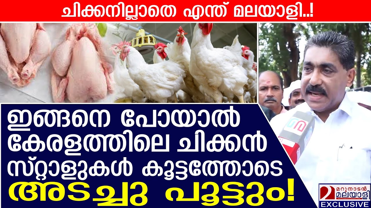 ചിക്കൻ സ്റ്റാളുകൾ കൂട്ടത്തോടെ അടച്ചു പൂട്ടലിന്റെ വക്കിൽ! | poultry farm | Chicken