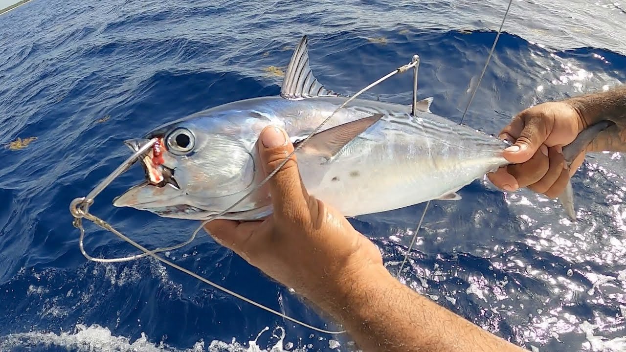 Pesca con Carnada Gigante en Mar Abierto | NUEVO R&Eacute;CORD!!
