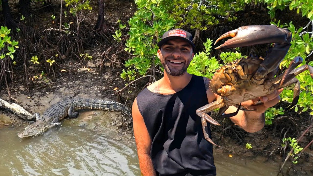 Hunting Mud Crabs Next To Crocodiles In Cairns Queensland