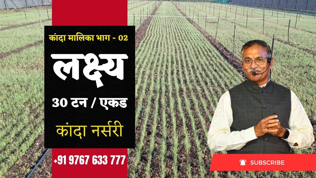 कांदा नर्सरी लक्ष्य 30 टन / एकड | Onion Nursery @BTGore