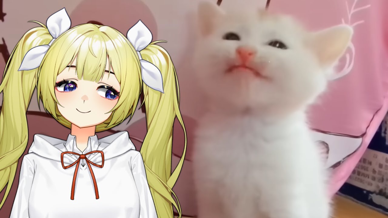 VTuber Reacts to 20 Minutes of The FUNNIEST Kittens