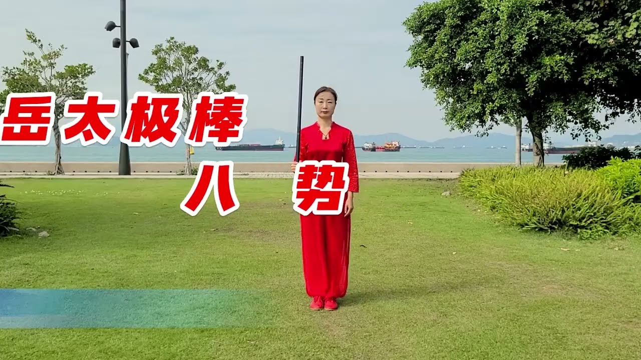 동악태극봉 8식 东岳太极棒八势 8forms dongyue style stick