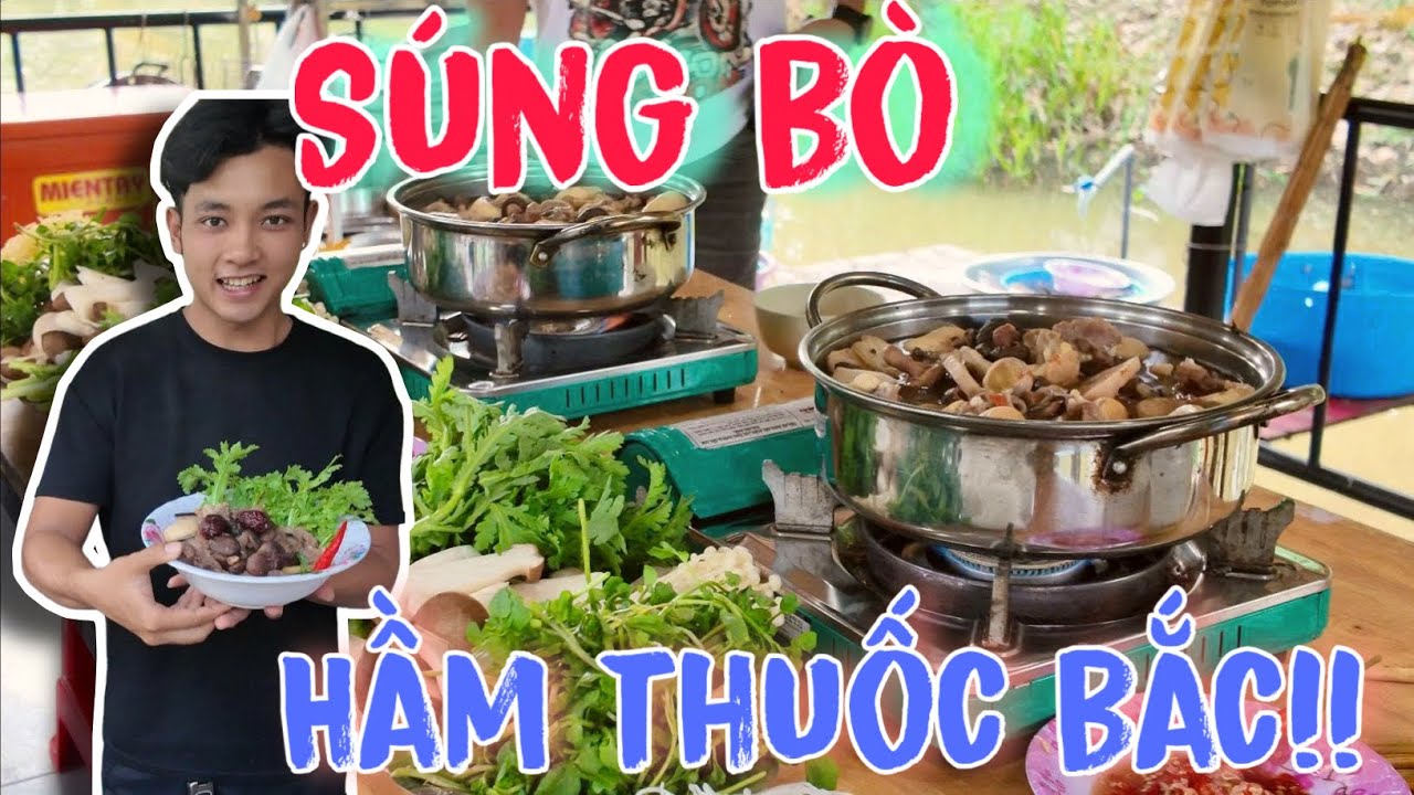 Món Ăn Súng Bò Hầm Thuốc Bắc Ngon!!! | Thanh Nhã TV