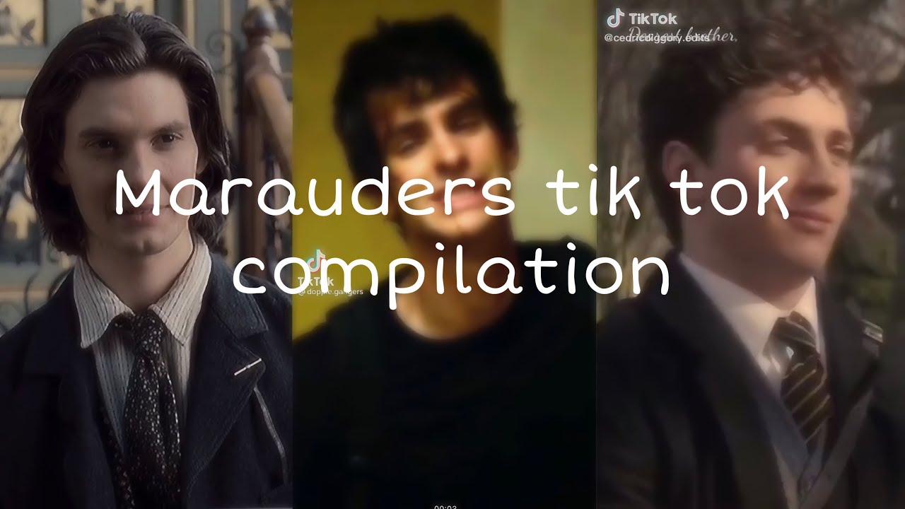 Marauders Tik Toks that saved James and Lilly