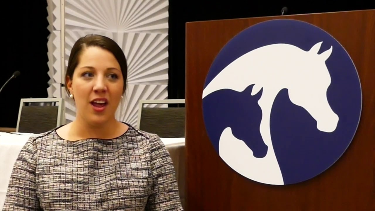 Arabian Horse Nationals Convention - Why...
